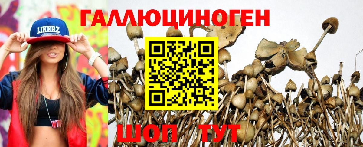 Галлюциногенные грибы GOLDEN TEACHER  Вход с VPN  Псилоцибиновые грибы Psilocybe  Острогожск 